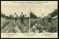 Cartes postales anciennes 12892